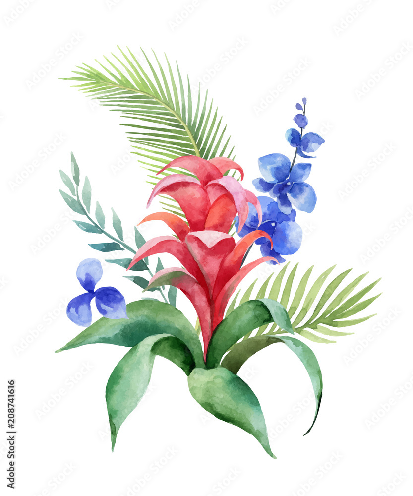 水彩矢量花束热带树叶和明亮的奇异花朵隔离在白色背景上。