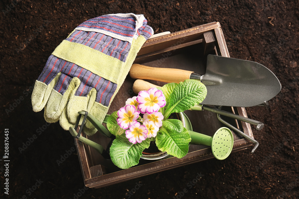 带园艺工具和土壤植物的木箱