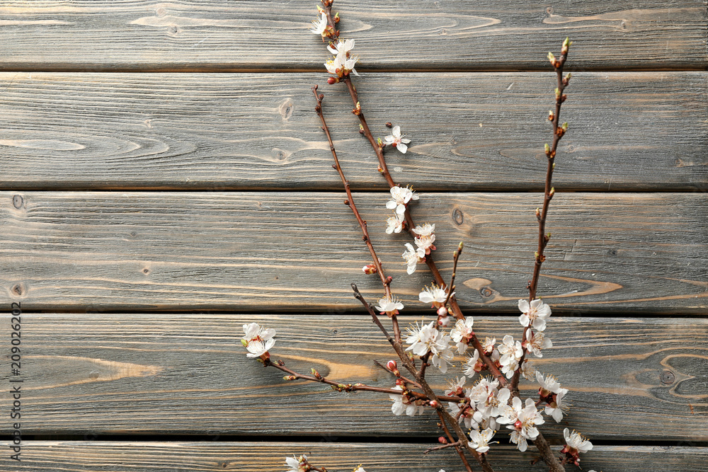 Beautiful blossoming branches on wooden background