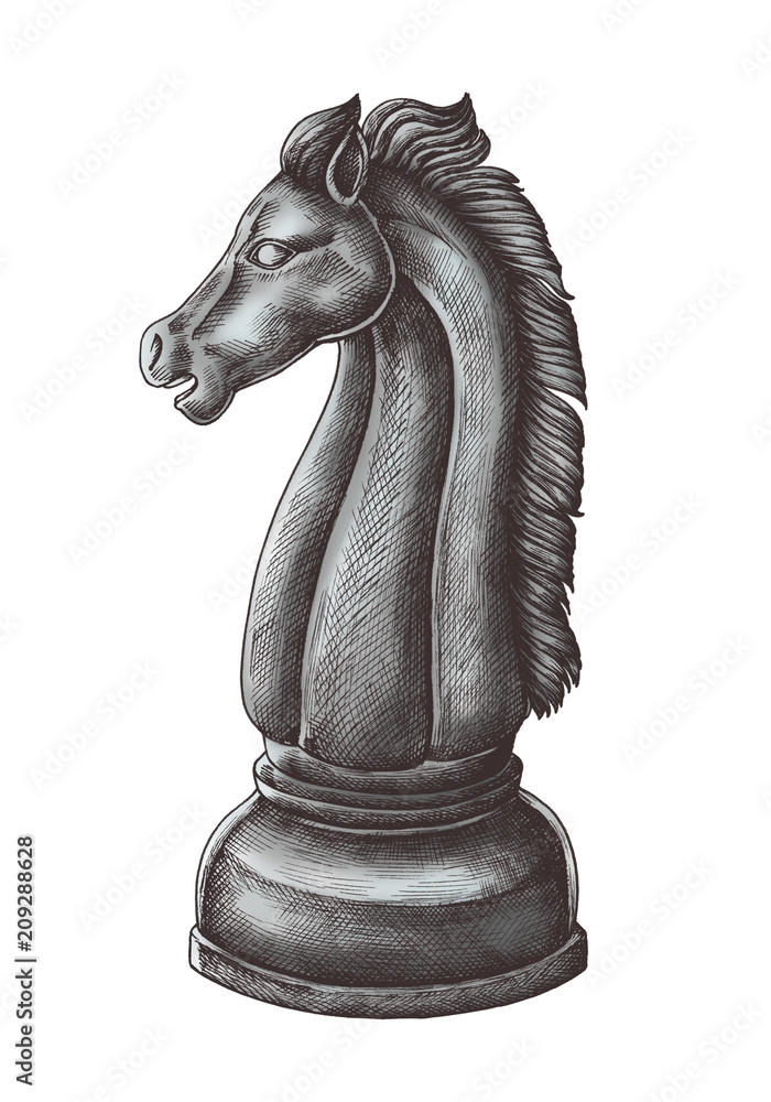 手绘国际象棋骑士插图