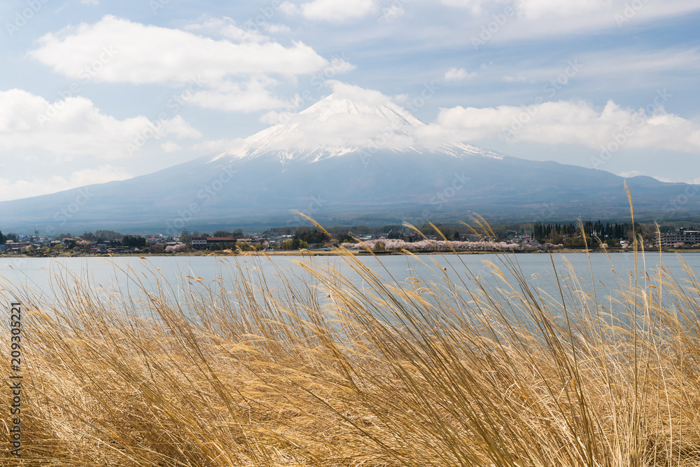 清晨的富士山和川口湖