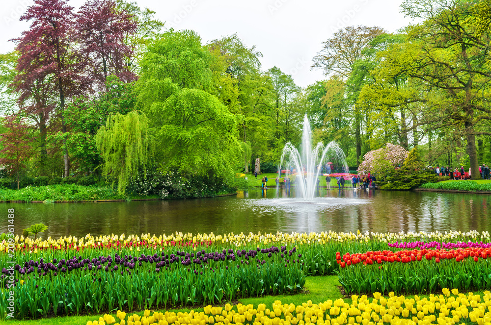 荷兰的凯肯霍夫花园，也被称为欧洲花园。