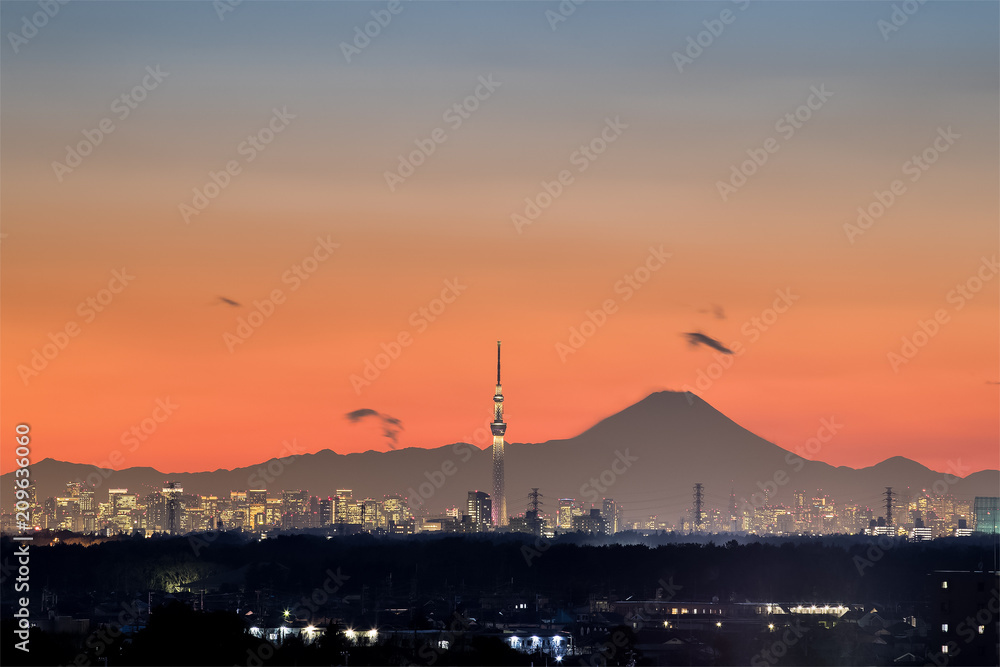 东京夜景，东京天树地标，东京市中心建筑区和胜利的富士山