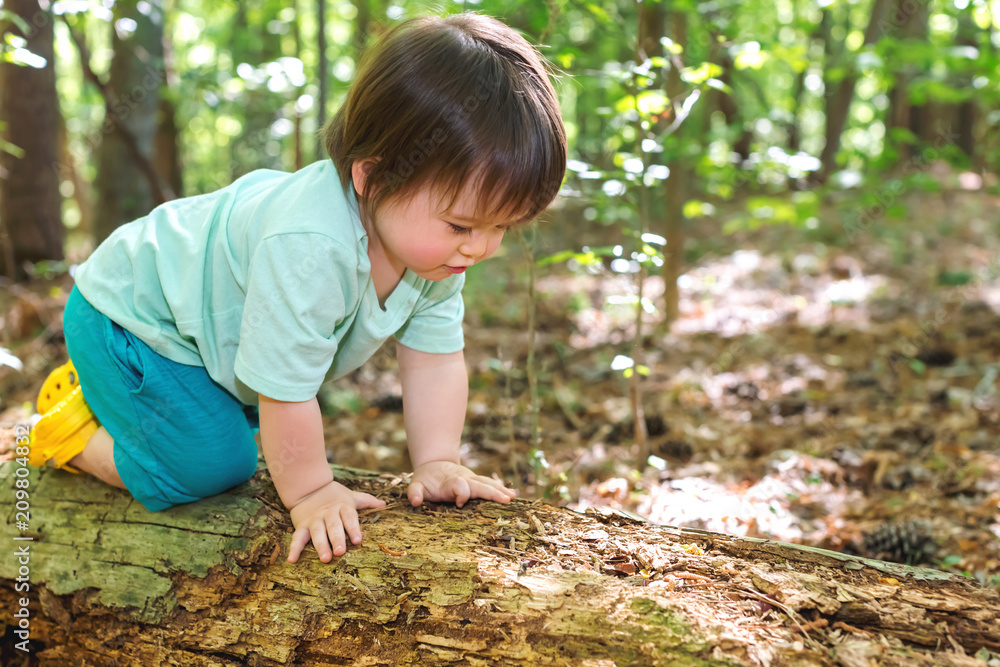 一个蹒跚学步的小男孩在森林里玩耍