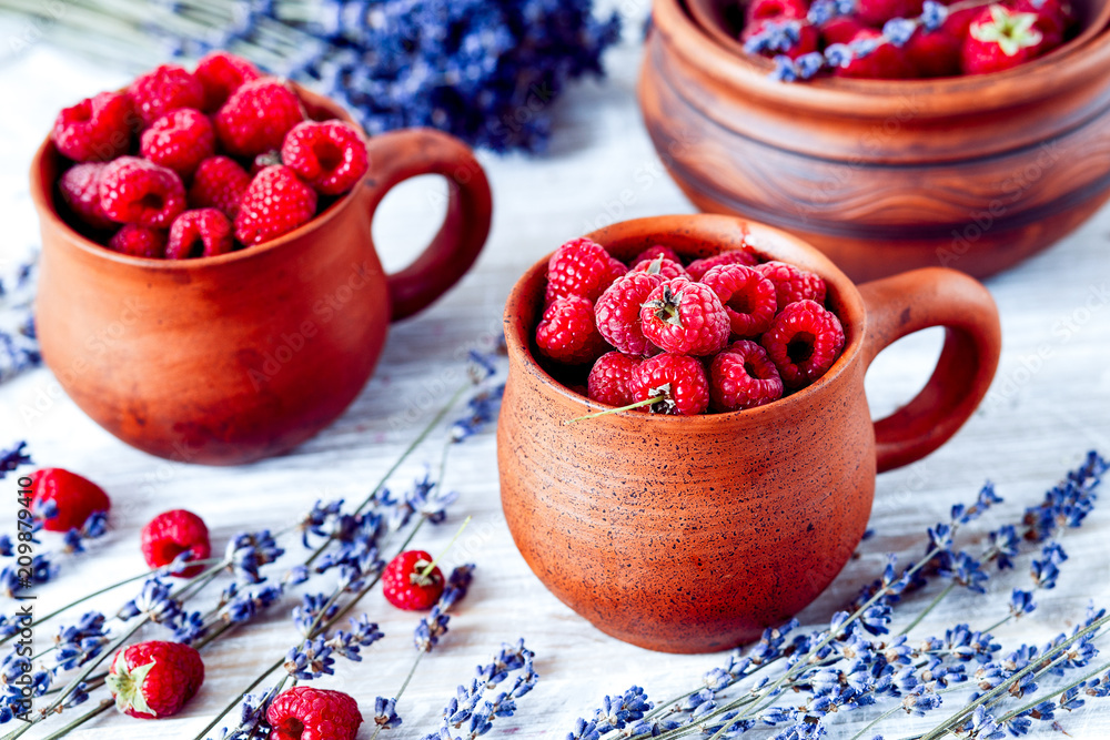 木背乡村设计的新鲜树莓和干洗手盆