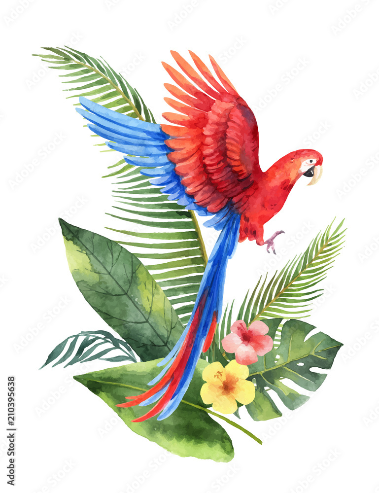 水彩矢量卡，红色鹦鹉，热带树叶和白色背景上孤立的花朵。