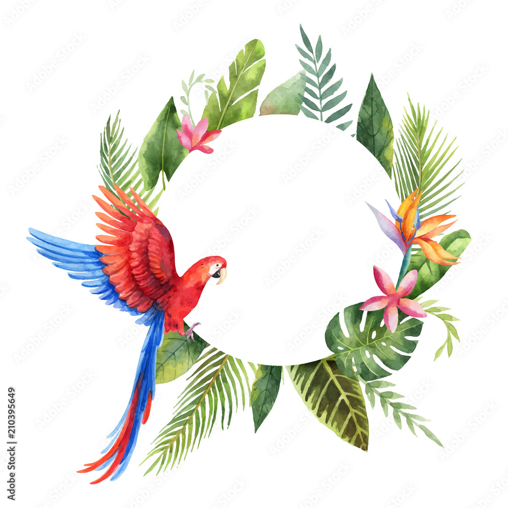 水彩矢量框架，红色鹦鹉，热带树叶和白色背景上孤立的花朵。