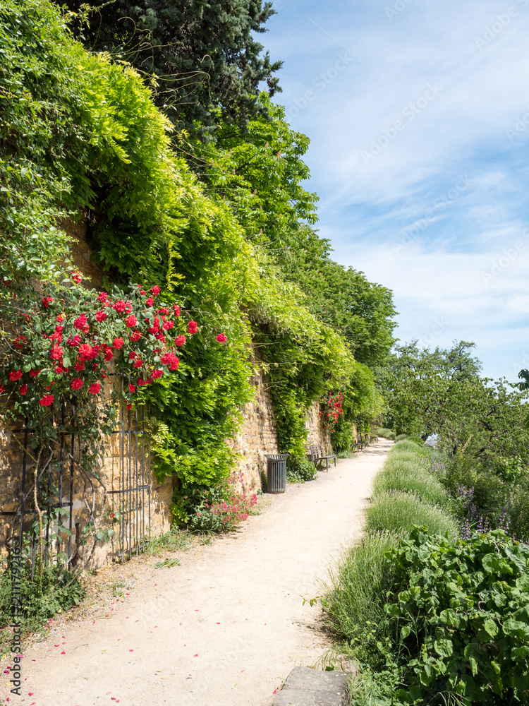 法国里昂罗萨雷花园。这是全家游览的好地方。清新的微风