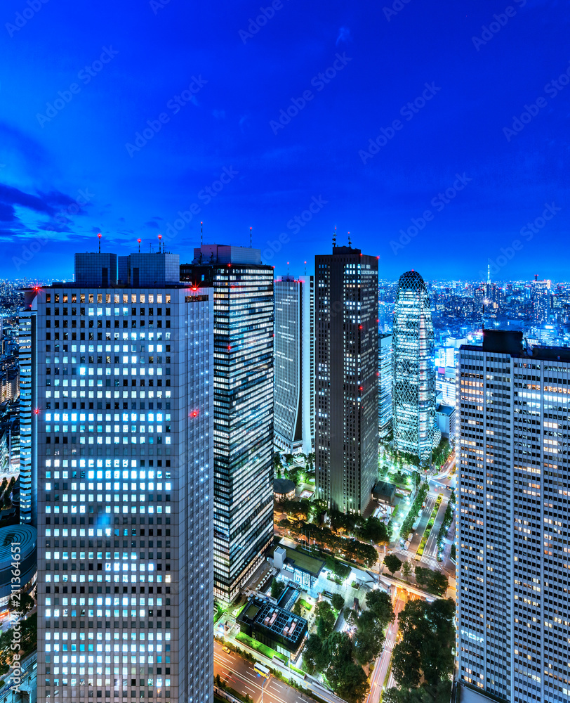 新宿高層ビルから見る東京の夜景
