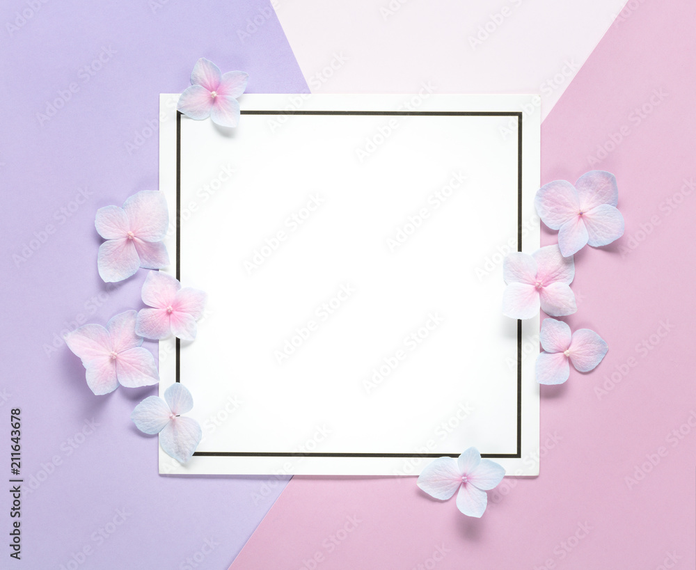 粉彩背景上有花瓣的空白卡片。
