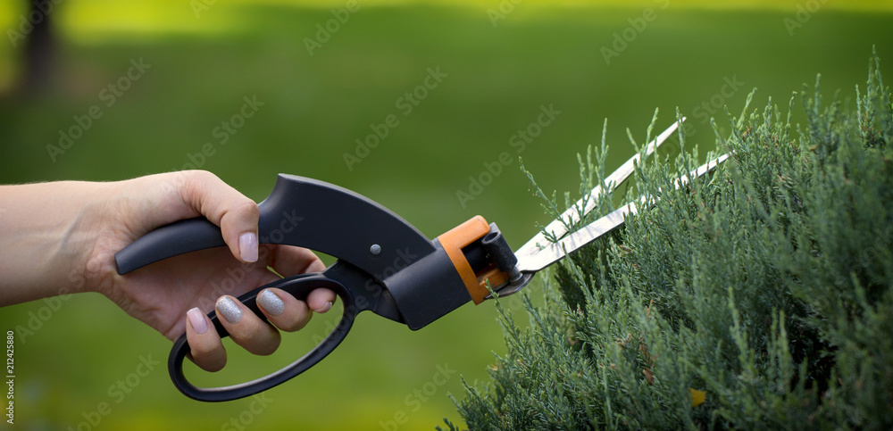 在难以到达的地方用剪刀修剪草坪，园艺专业人士