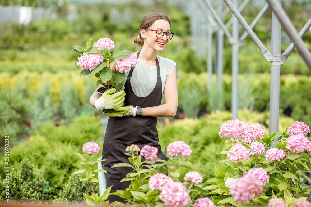 年轻的女人在植物店的温室里照顾花朵