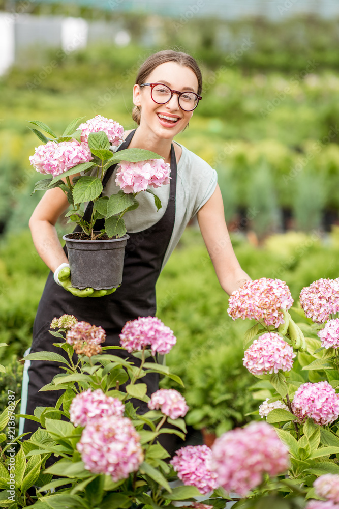 在植物商店的温室里工作的照顾花卉的年轻女性