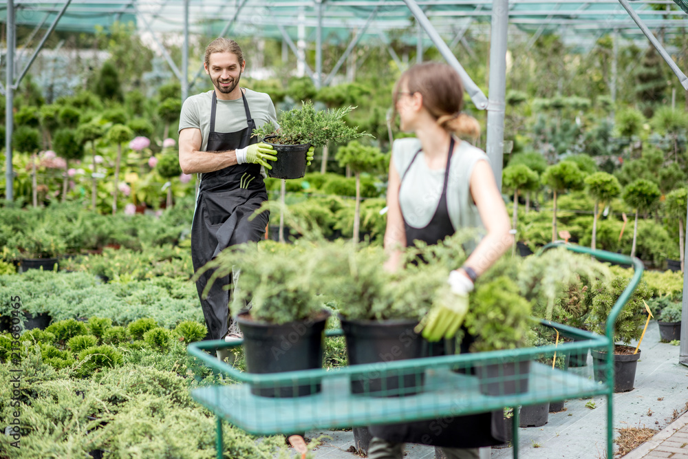 一群穿着制服的工人把待售的植物放在温室的购物车上