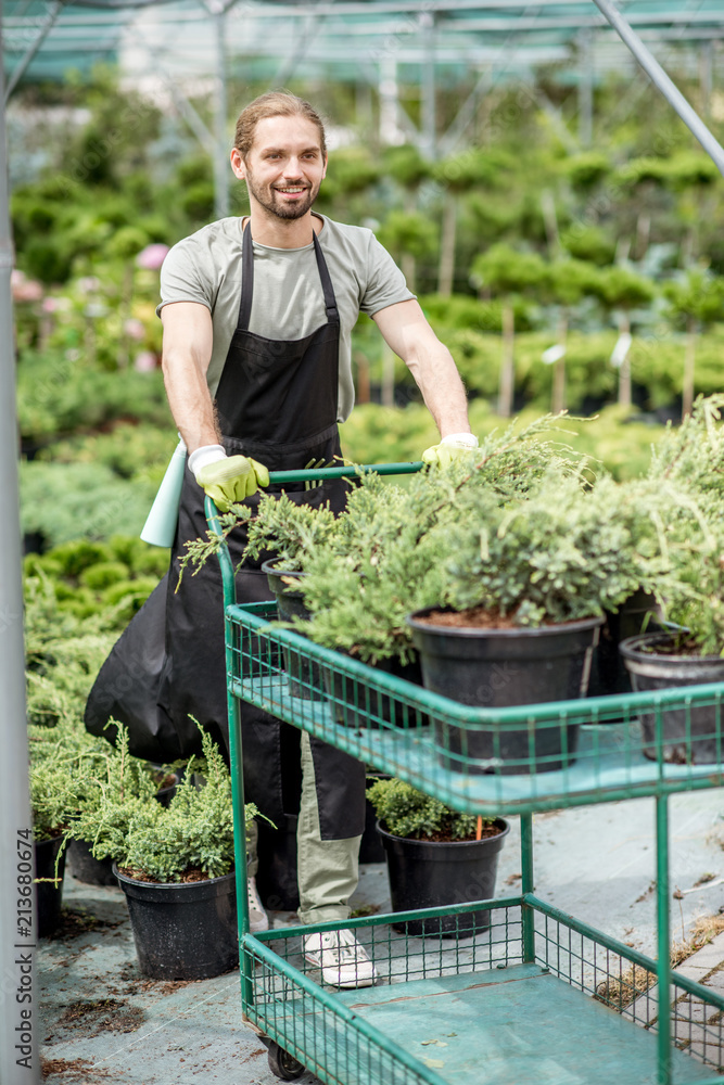 英俊的园丁推着购物车，在植物店的温室里种植植物