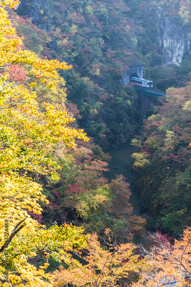 秋天的Naruko峡谷的Rikuu线