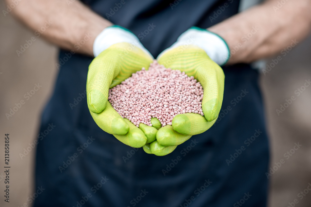 农民戴着绿色工作手套，手里拿着矿物肥料，特写