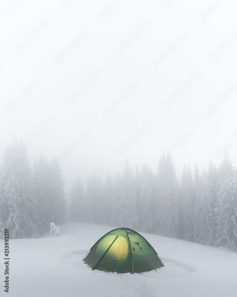 在雾蒙蒙的松林背景下，手电筒从里面照亮了绿色帐篷。a
