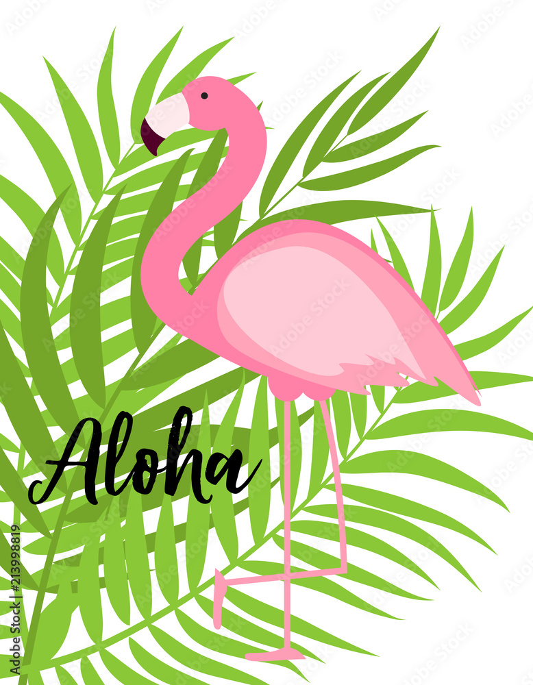 可爱的粉红色火烈鸟夏季背景矢量插图