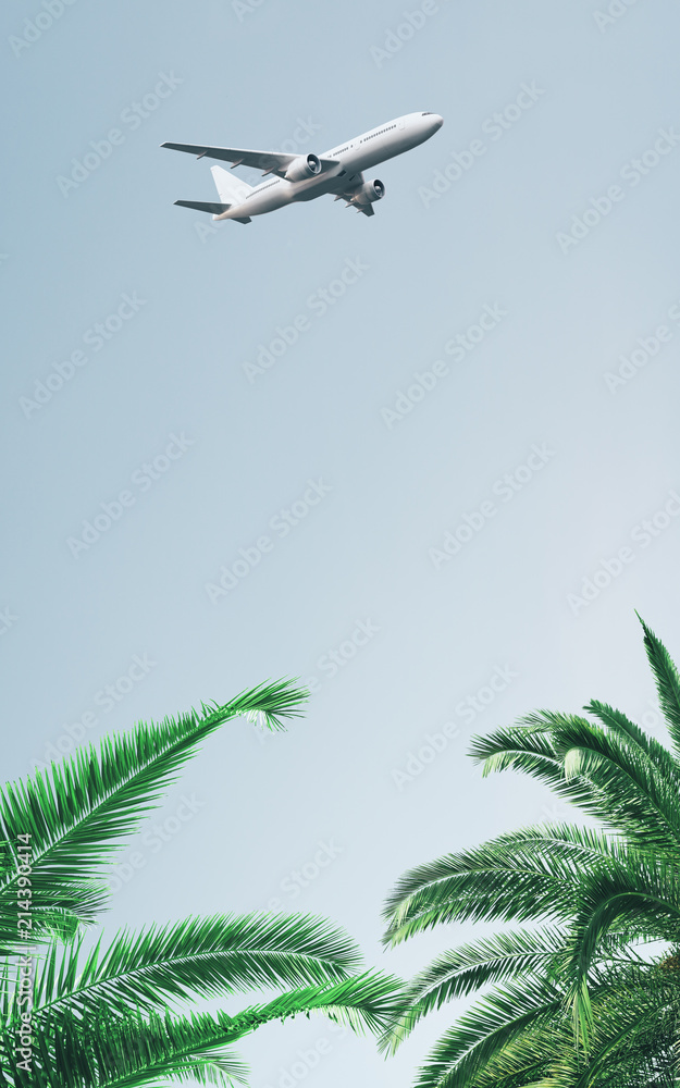 棕榈树上方晴朗天空中的飞机