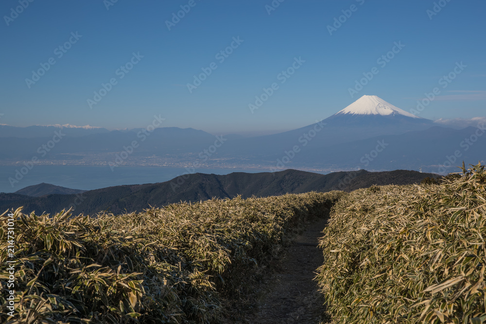 静冈县冬季的富士山和骏河湾。从伊豆县的大流山看