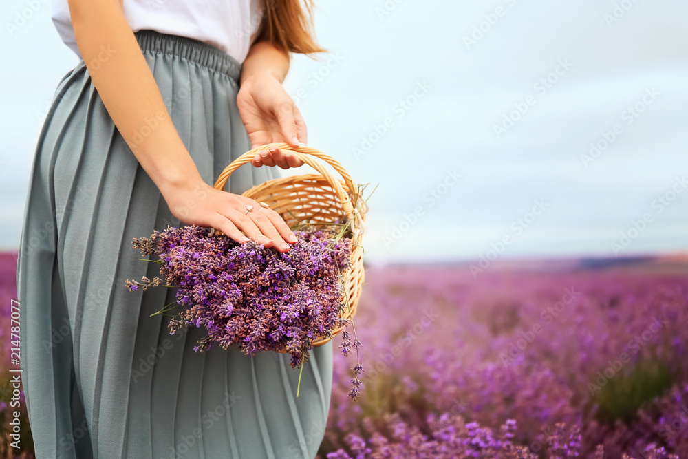 夏日薰衣草地里拿着柳条篮的美丽年轻女子