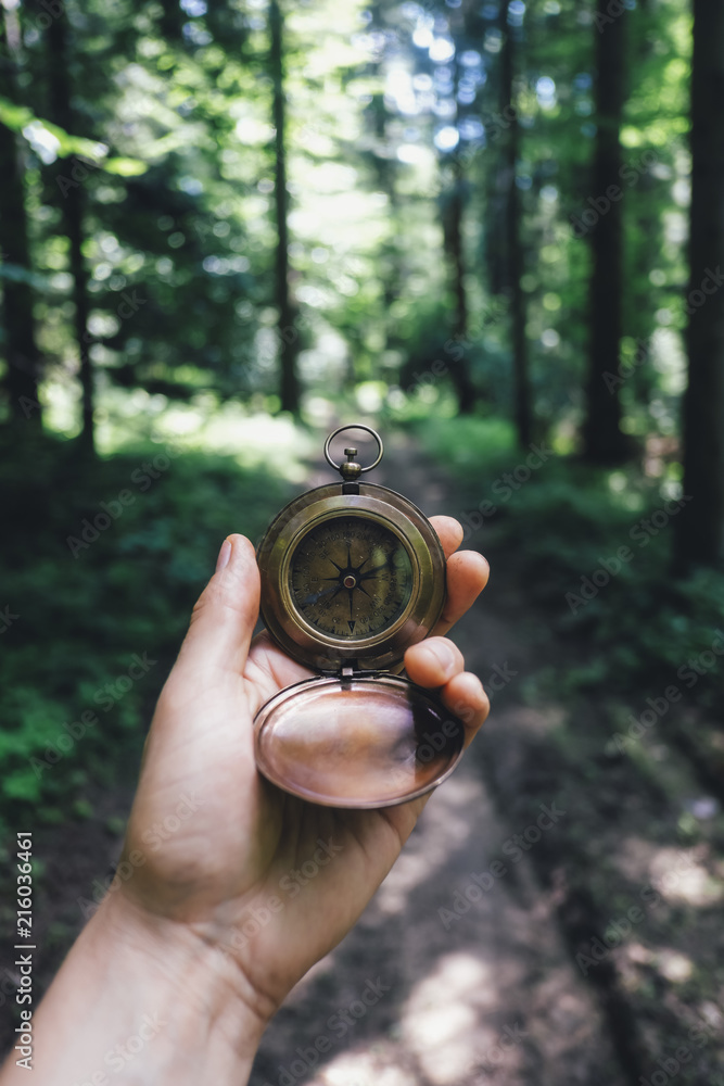 在郁郁葱葱的夏季森林里，手里拿着指南针的人。旅行理念