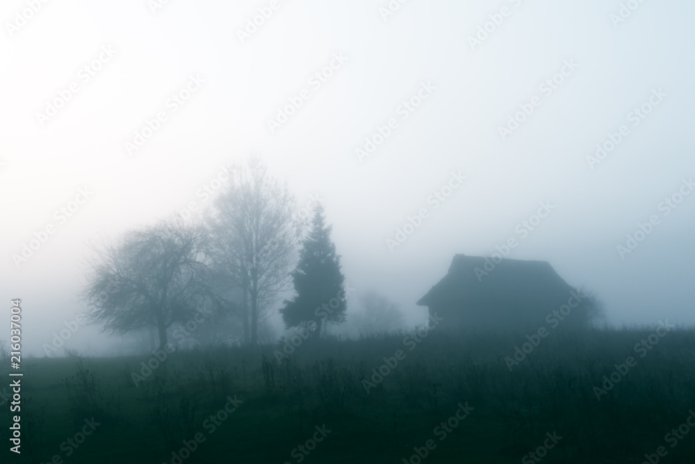 日出时的山谷。秋天雾蒙蒙的草地上的独栋房子。喀尔巴阡山，风景
