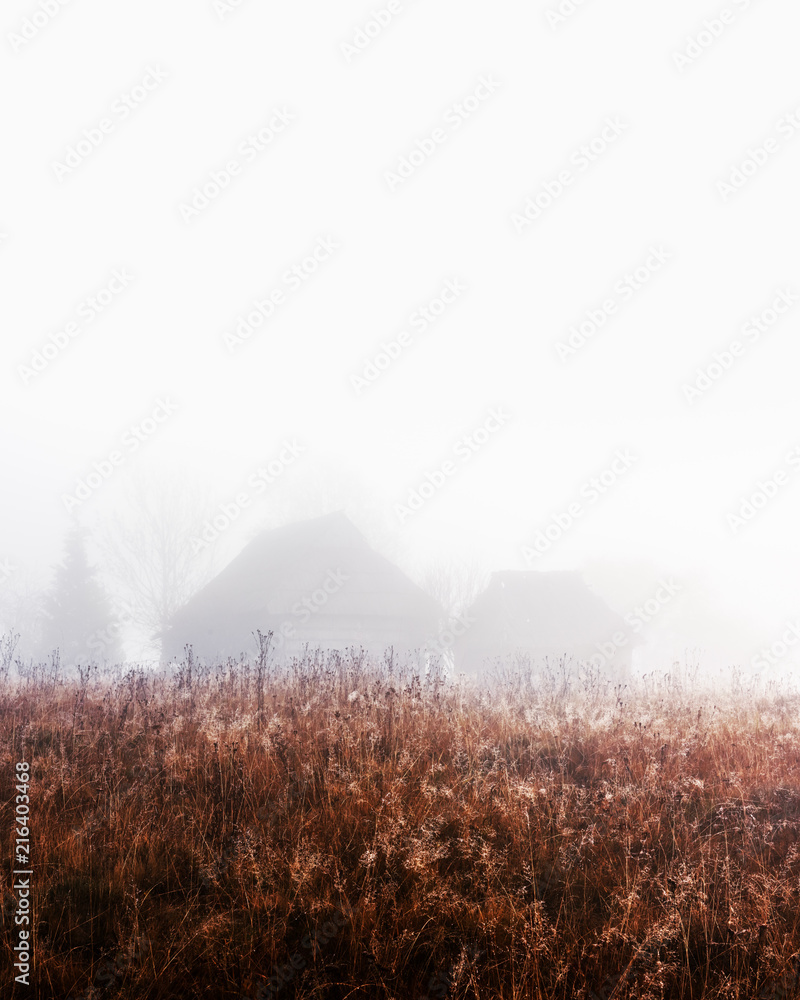 日出时的山谷。秋天雾蒙蒙的草地上的独栋房子。喀尔巴阡山脉，风景