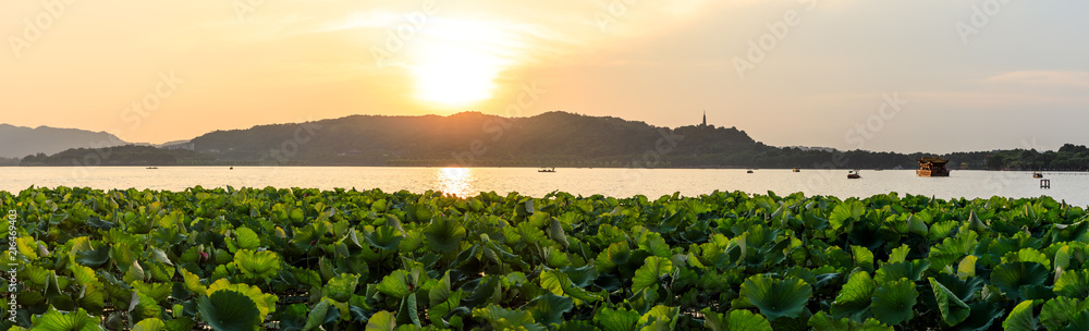 日落时分的杭州西湖自然风光