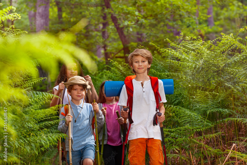 孩子们作为班级小组在森林里徒步旅行