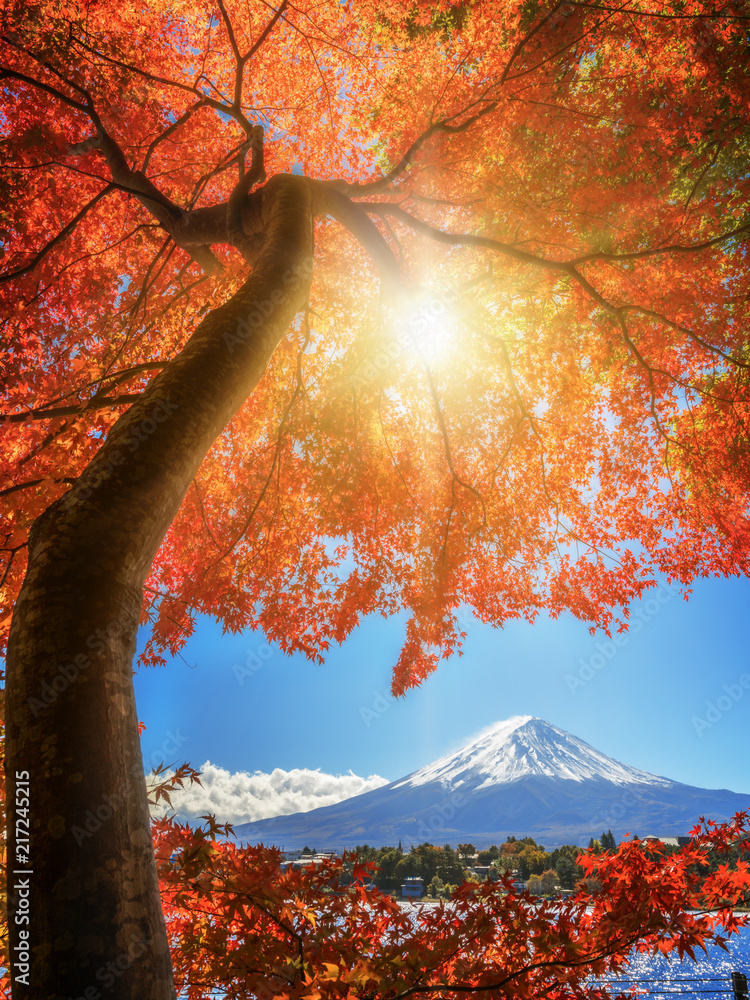 日本富士山秋色
