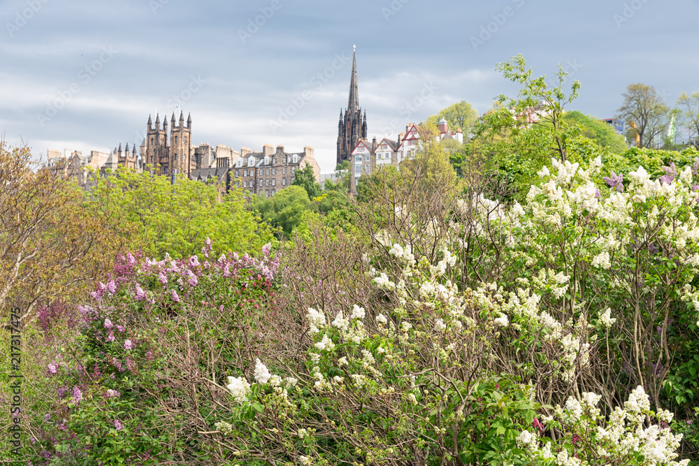 春天从王子街花园看苏格兰爱丁堡的城市景观