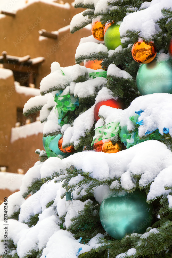 这棵美丽的白雪覆盖的圣诞树位于新墨西哥州圣达菲，反映了
1226714387,美丽的年轻深色女人和留胡子的男朋友在S的大树下牵手