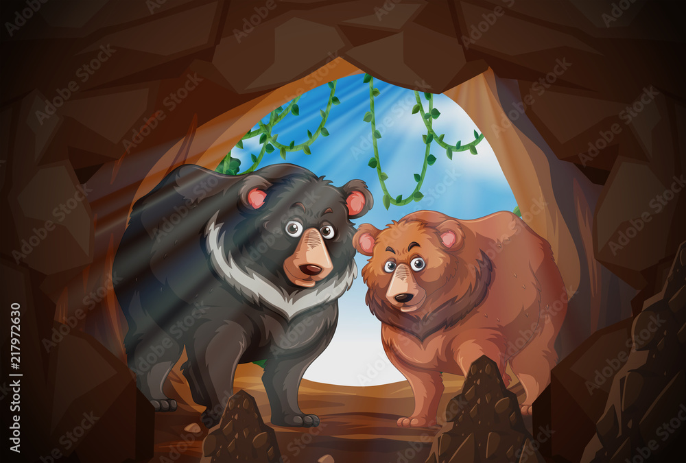 Two bears in a cave