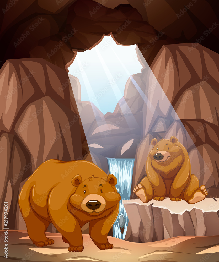 洞穴里两只快乐的熊