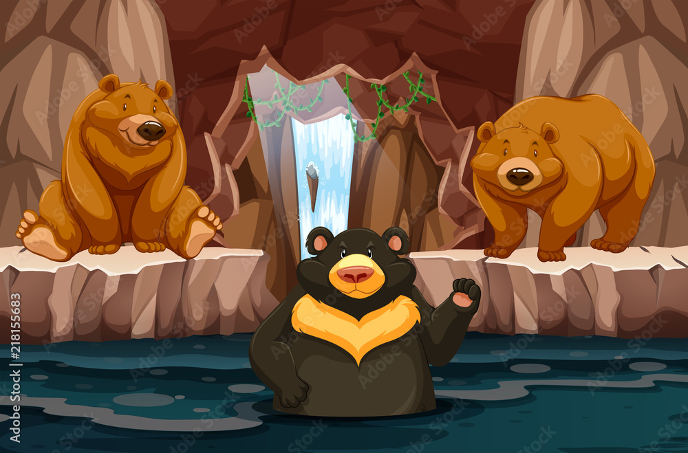 Wild bears in underground cavern with water