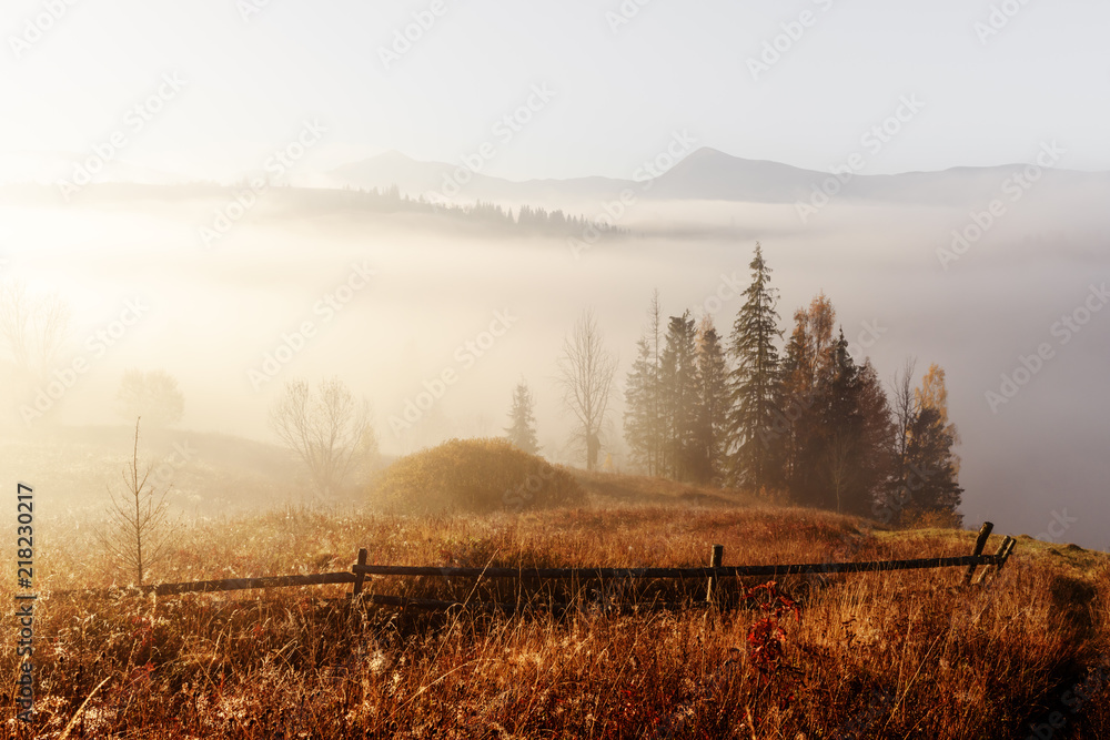 Amazing scene on autumn mountains. Yellow and orange trees in fantastic morning sunlight. Carpathian