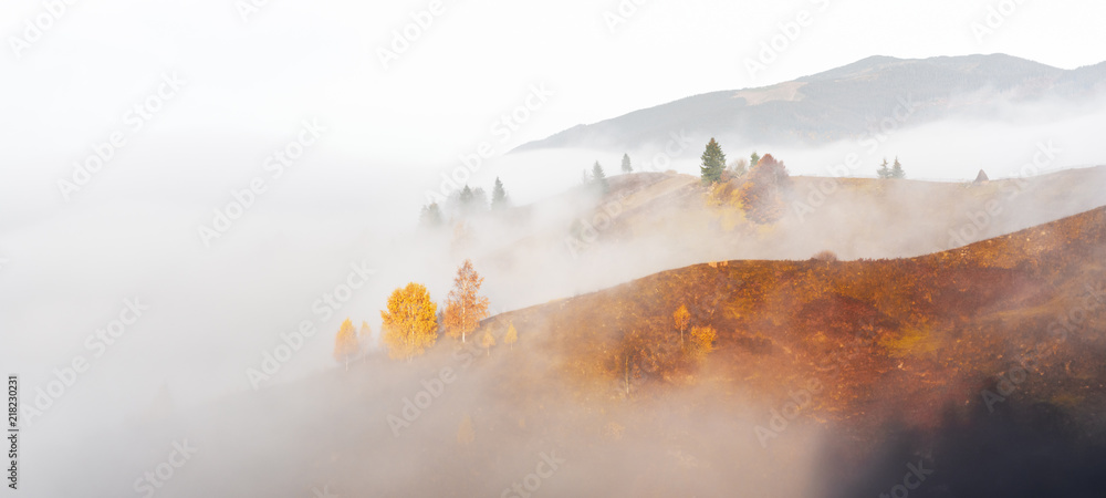 秋山上令人惊叹的景色。黄色和橙色的树木在美妙的晨曦中。喀尔巴阡山