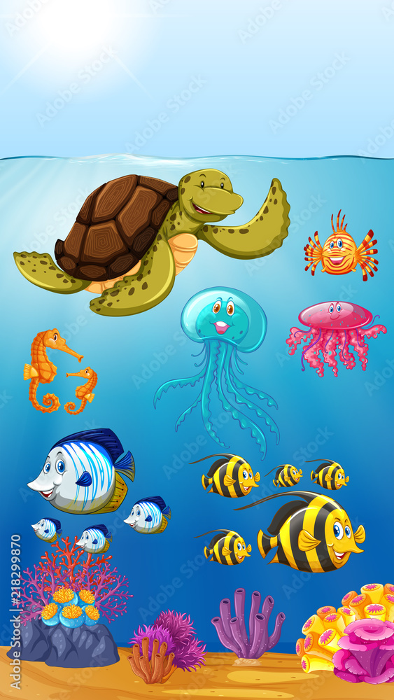 水下可爱的海洋动物