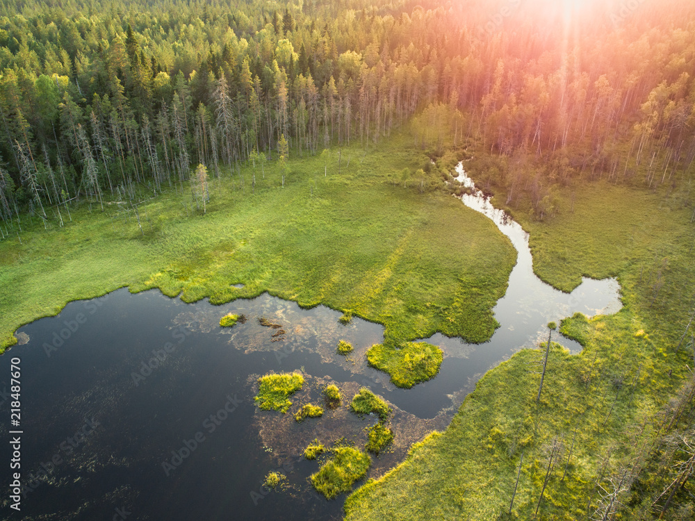 芬兰北部又名泰加森林的森林和小湖或池塘鸟瞰图