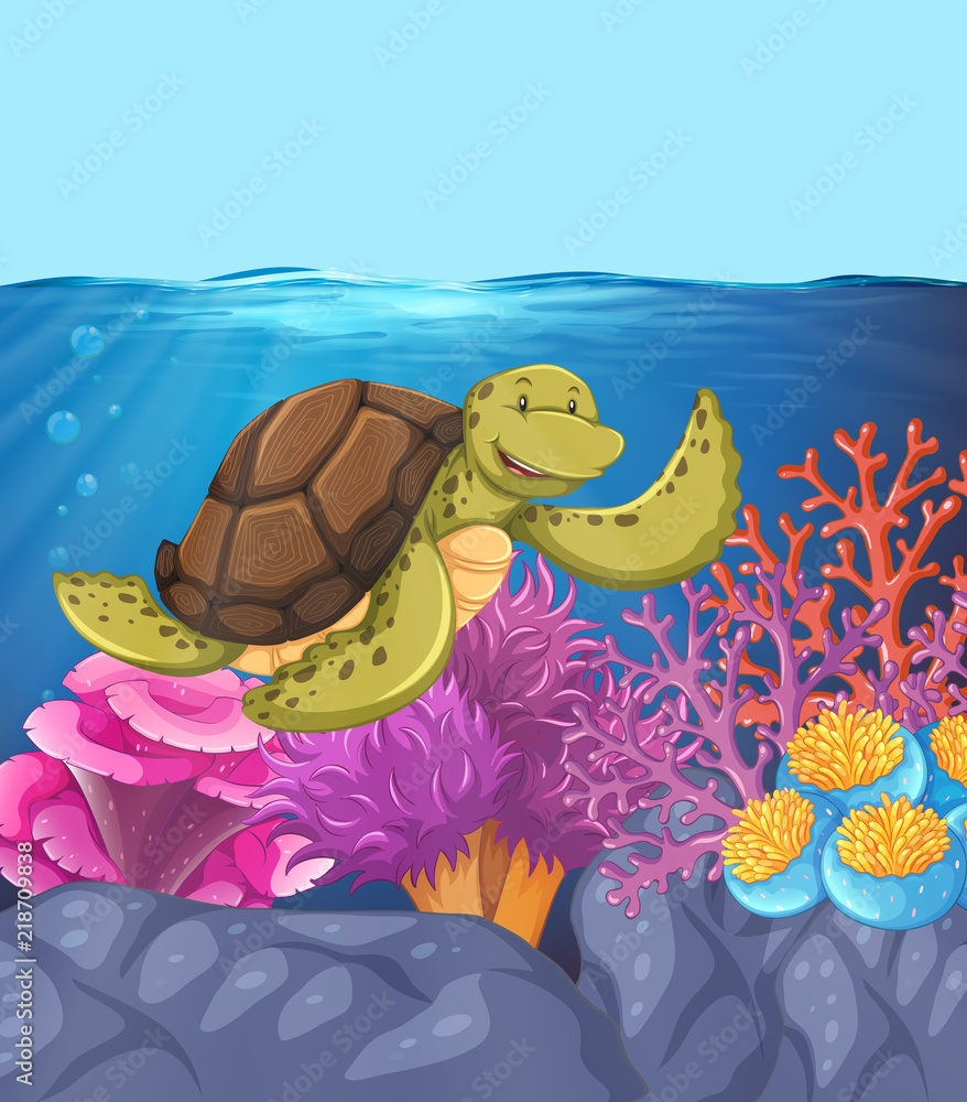 快乐的海龟水下暗礁场景