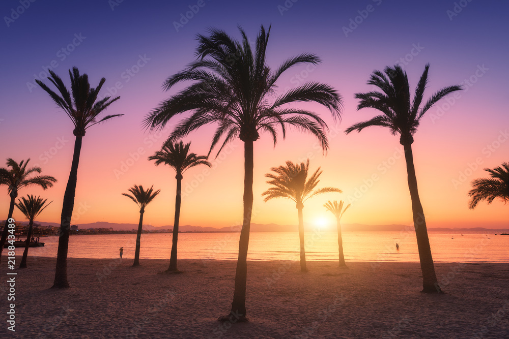 日落时棕榈树在彩色天空中的剪影。沙滩上棕榈树的热带景观