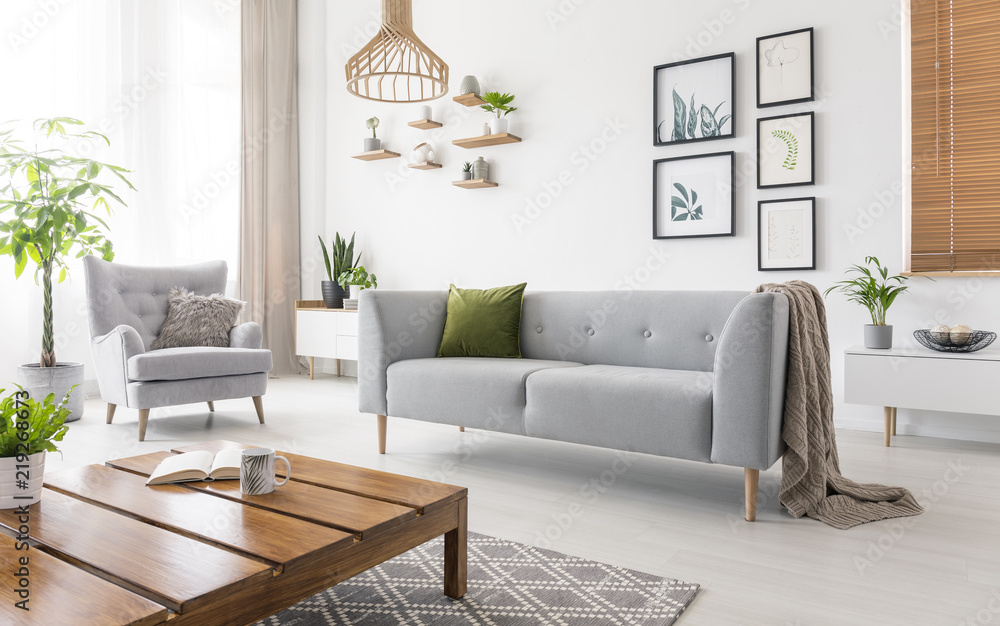 灰色沙发、绿色坐垫和毯子的真实照片，白色客厅内部有s