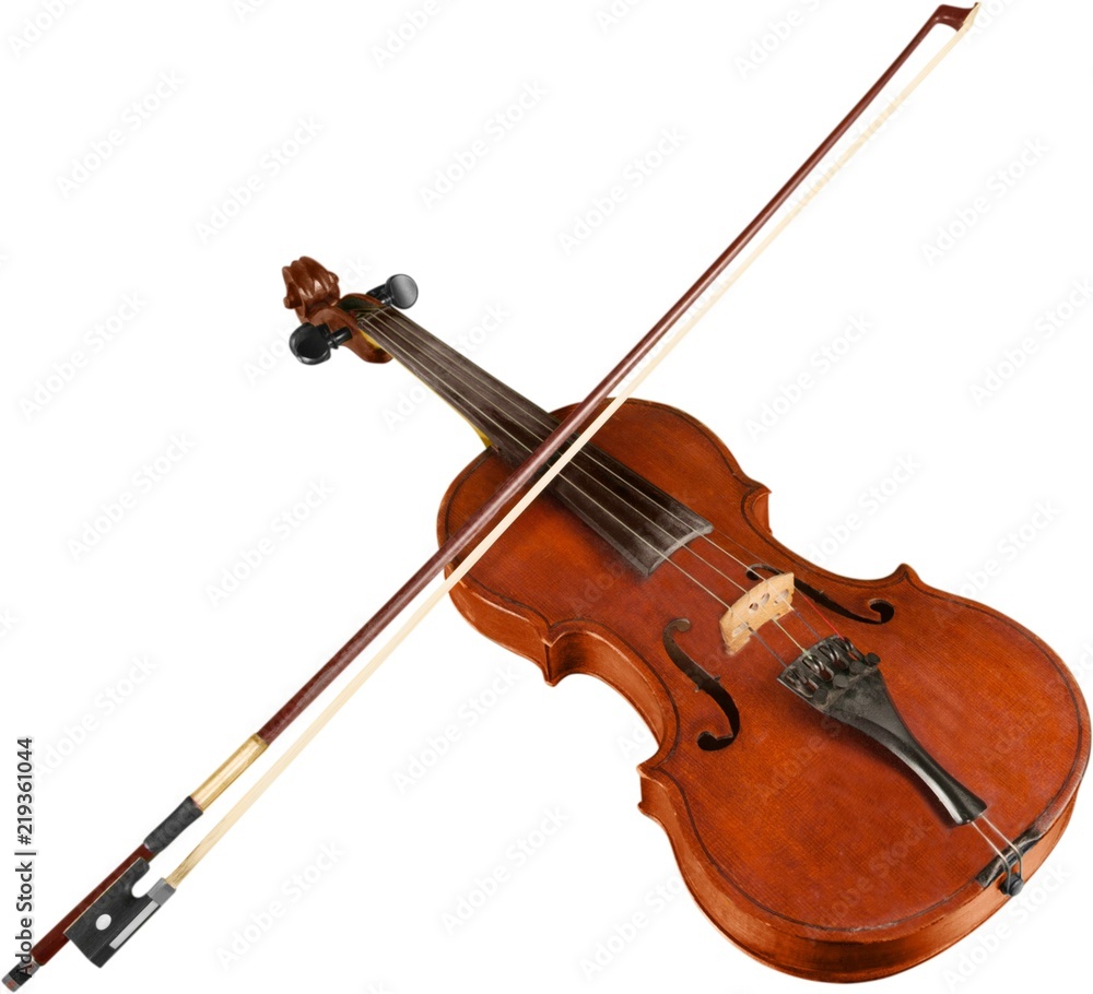 独立的带弓小提琴的前视图