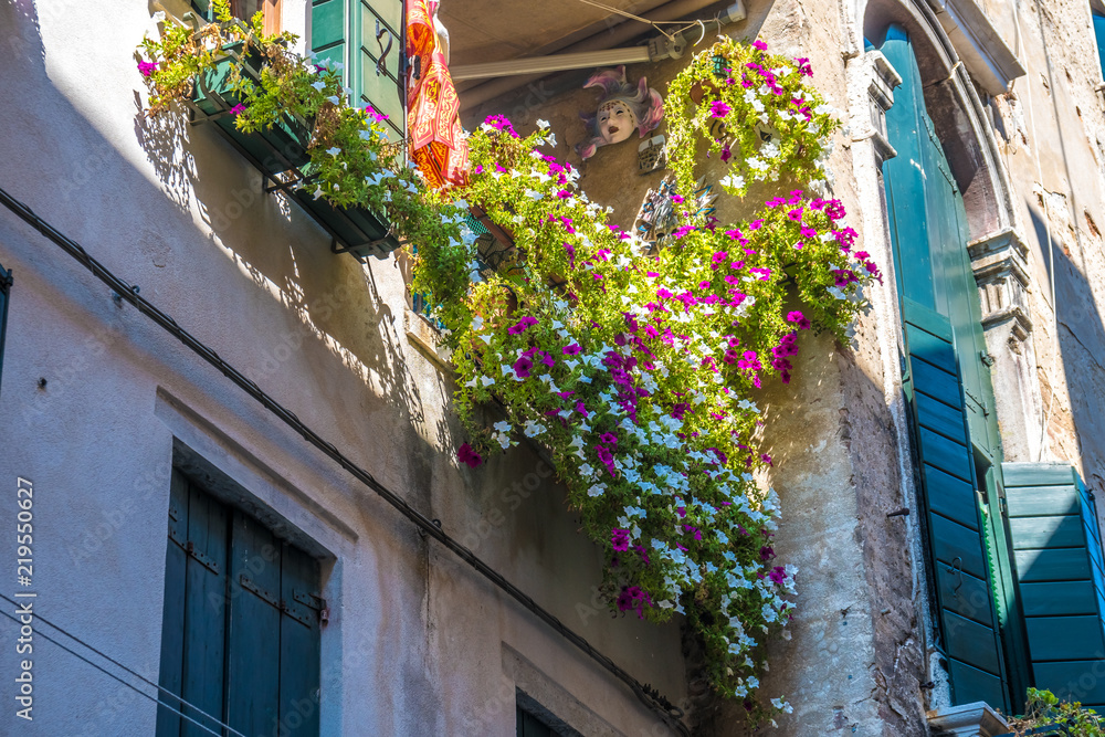 威尼斯窗户上有花的房子