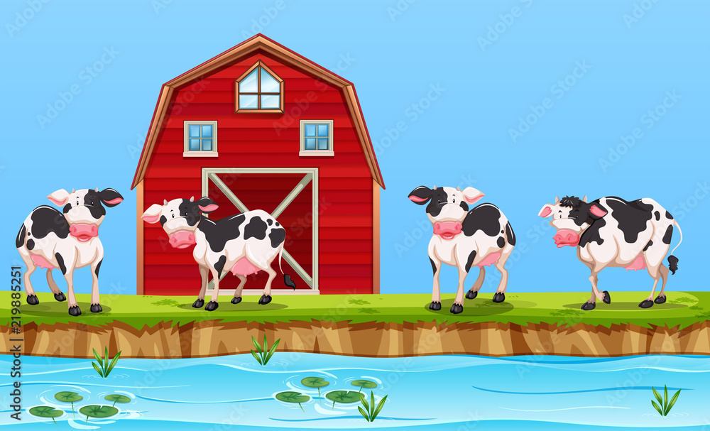 农村农场的奶牛