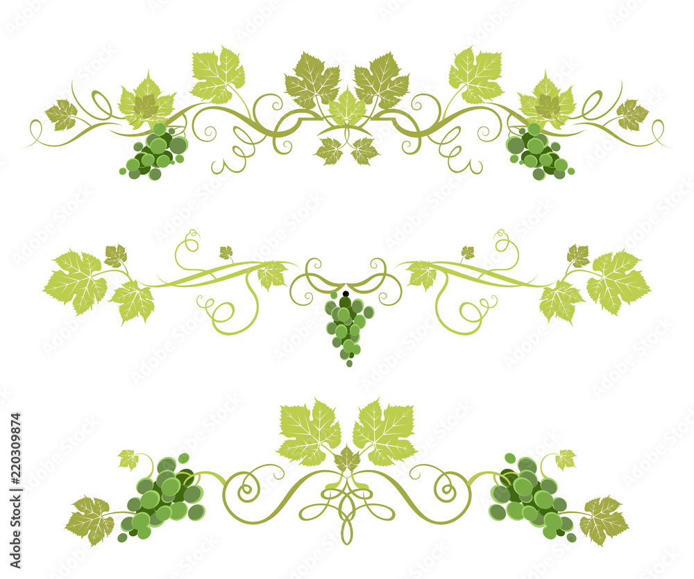 绿色葡萄装饰