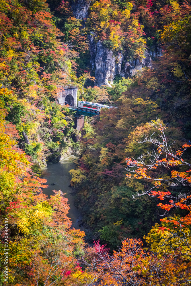秋天在Naruko峡谷的Rikuu线