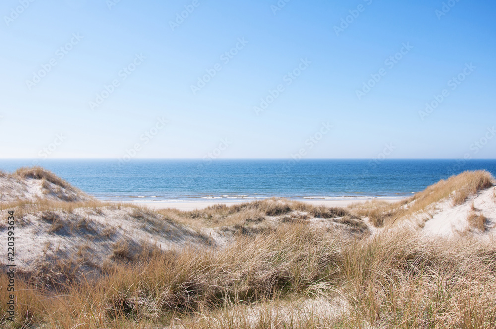 丹麦北海海岸布拉万德海滩的沙丘